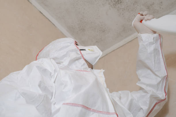 Best Toxic Mold Removal  in Sealy, TX